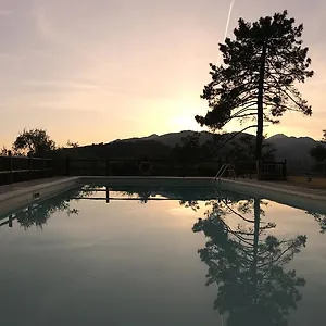  Vakantieboerderij Il Pino Italië